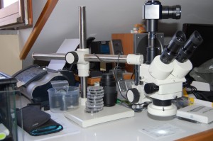 Microscopio Ottico Stereoscopico